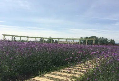 한중쑨이차오좡위안 명소 인기 사진