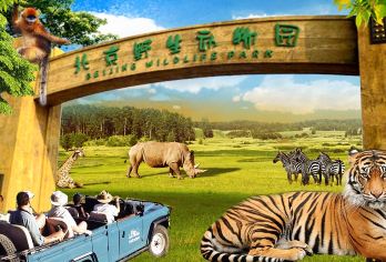 Beijing Wildlife Park Popular Attractions Photos