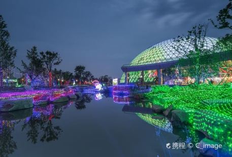 Dayangshan Botanical Garden Scenic Area