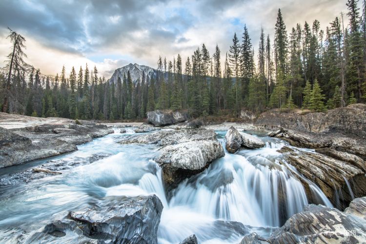 Yoho National Park travel guidebook –must visit attractions in Columbia ...