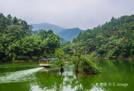 Jiulong Lake