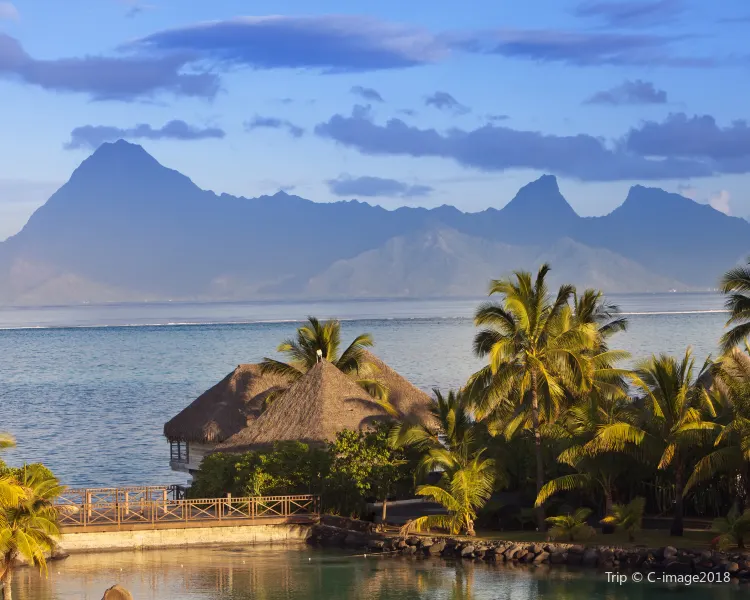 Tahiti Popular Travel Guides Photos