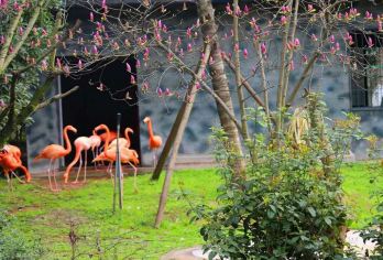 長沙生態動物園 熱門景點照片
