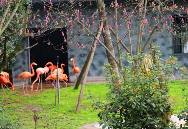 長沙生態動物園 熱門景點照片