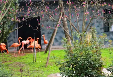 Changsha Ecological Zoo Popular Attractions Photos