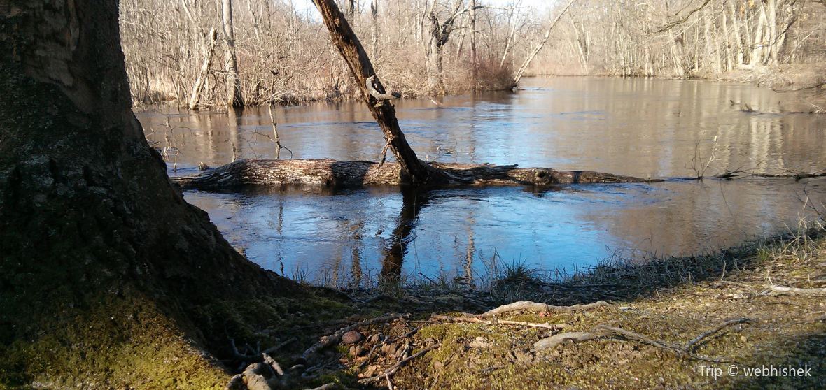 Sharon Township Travel Guide 2023 Things to Do, What To Eat & Tips