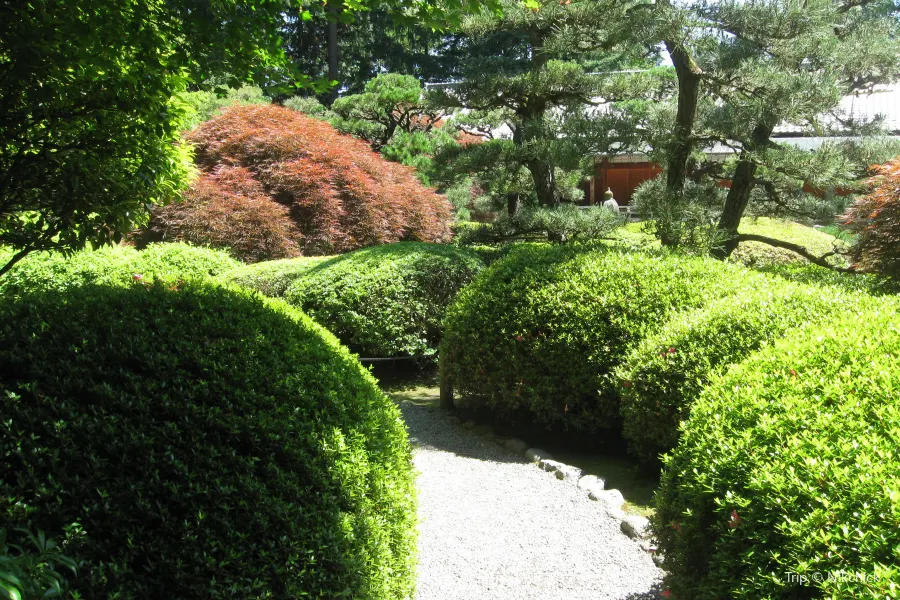 The Japanese Garden1