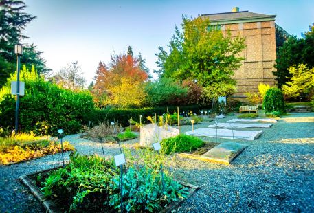 University of Washington Medicinal Herb Garden