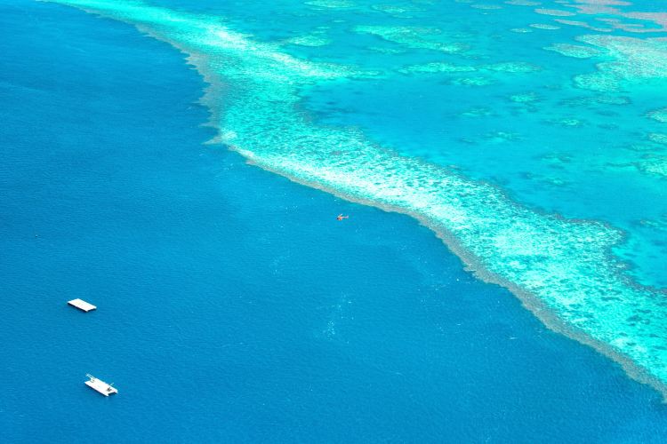 Great Barrier Reef グレート バリア リーフ 評判 案内 トリップドットコム