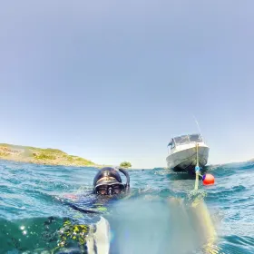 Gold Coast Divers
