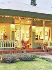 Mike Carroll Gallery