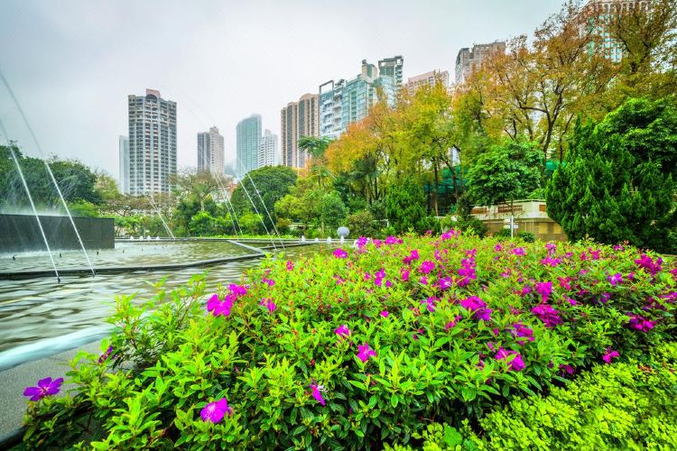 香港動植物公園旅遊攻略指南 香港動植物公園評價 香港動植物公園附近推薦 Trip Com