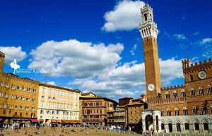 Siena,Recommendations