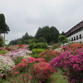 箱根蘆之湯花園