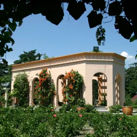 The Hibiscus Park