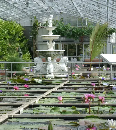 21伊豆旅遊攻略 伊豆好去處 伊豆觀光景點21 Trip Com