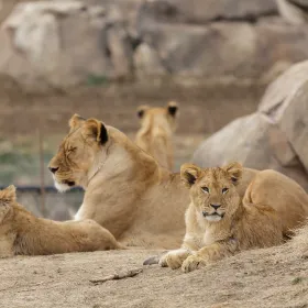 Denver Zoo