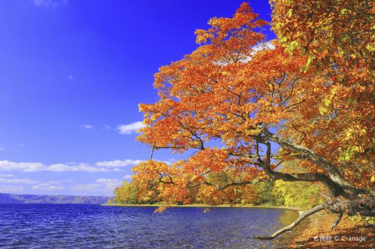 支笏湖の写真 千歳の観光スポットの写真 Tripメモリー