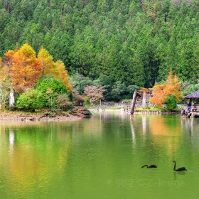 Recreation Area of Mingchi National Forest