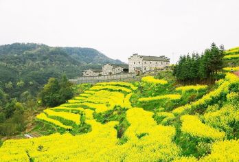 Luoyuan Village 명소 인기 사진