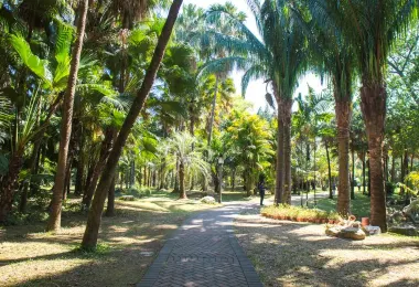 中國科學院華南國家植物園 熱門景點照片