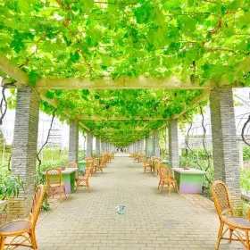 Biyun Garden