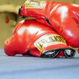 Everybody Fights