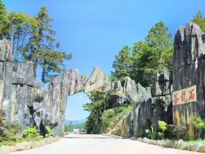 Stone Dragon Valley Forest Amusement Park