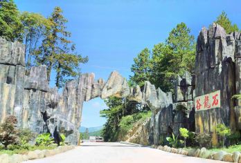 Stone Dragon Valley Forest Amusement Park Popular Attractions Photos