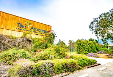 Los Angeles County Arboretum & Botanic Garden Popular Attractions Photos