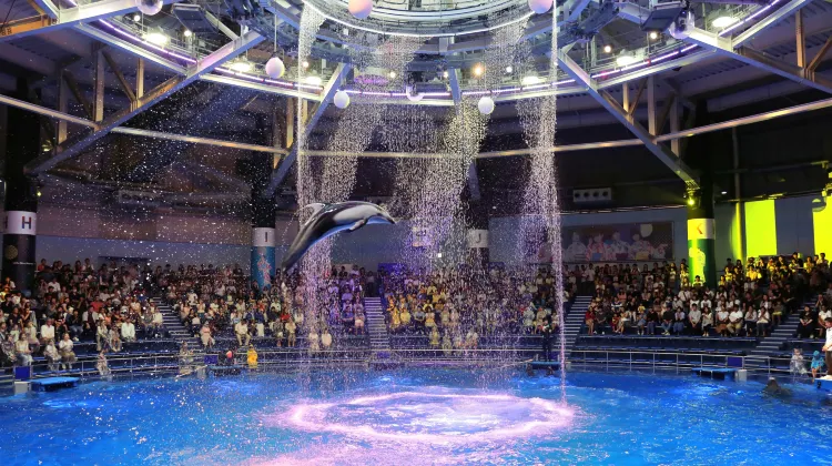 しながわ水族館のレビュー しながわ水族館のチケット しながわ水族館の割引 しながわ水族館の交通機関 所在地 営業時間 しながわ水族館周辺の観光スポット ホテル グルメ Trip Com