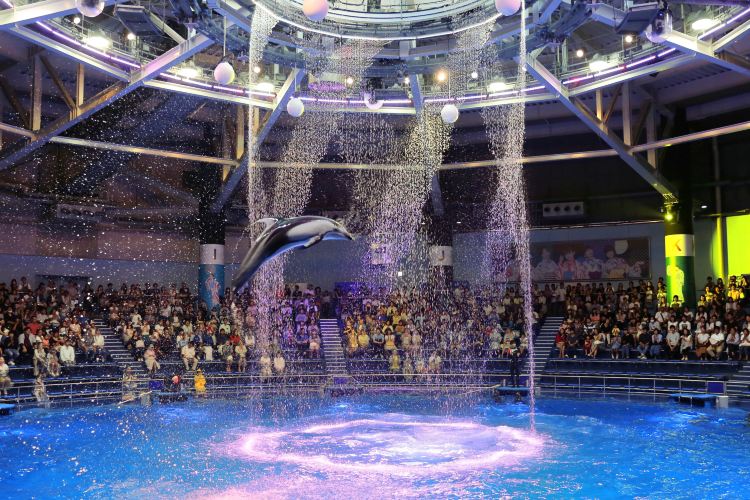 Shinagawa Aquarium travel guidebook –must visit attractions in Tokyo ...