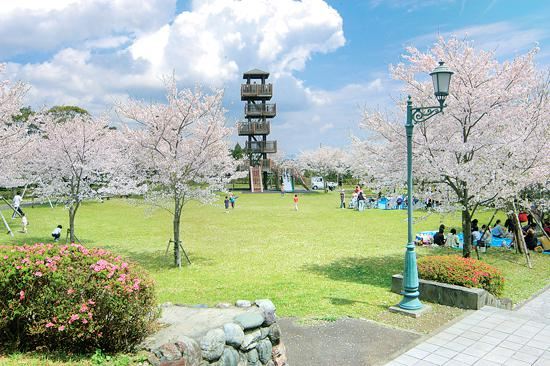 鹿兒島縣立吉野公園旅遊攻略指南 鹿兒島縣立吉野公園評價 鹿兒島縣立吉野公園附近推薦 Trip Com