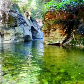 Fish Cave