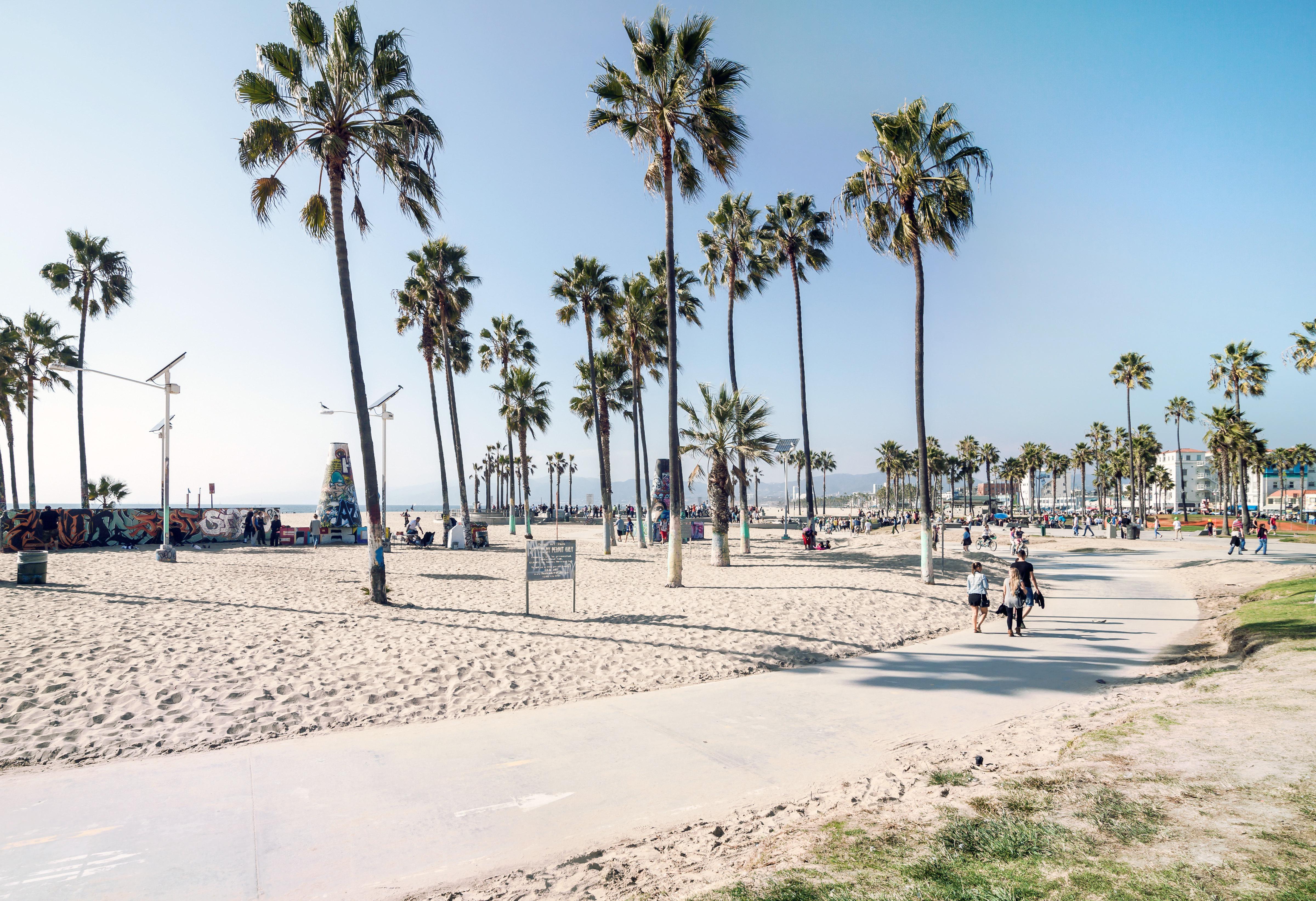 ベニス ビーチのレビュー ベニス ビーチのチケット ベニス ビーチの割引 ベニス ビーチの交通機関 所在地 営業時間 ベニス ビーチ周辺の観光スポット ホテル グルメ Trip Com