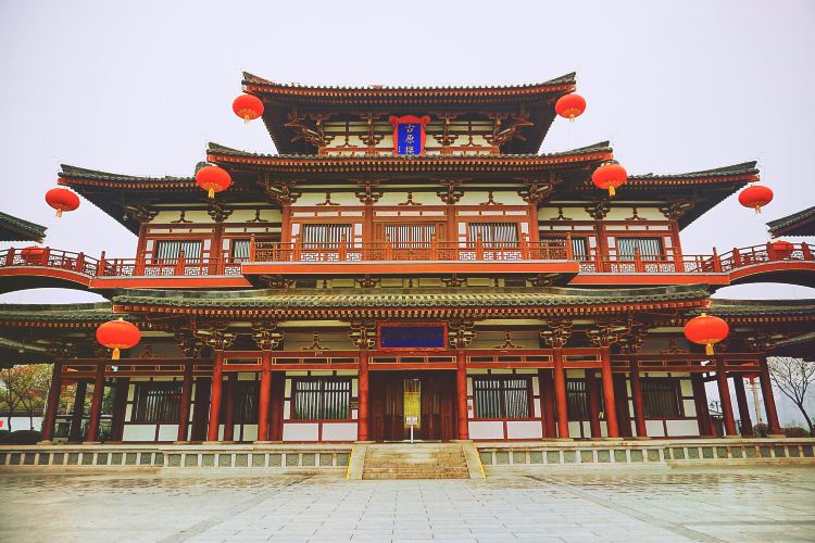 青龍寺遺址博物館旅遊攻略指南 青龍寺遺址博物館評論 青龍寺遺址博物館附近推薦 Trip Com