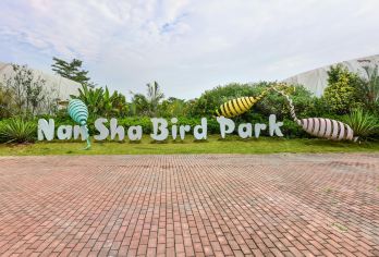 南沙水鳥世界生態公園 熱門景點照片