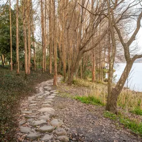 Shangxiang Ancient Road