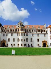 Herzog Palace (Herzogschloss)