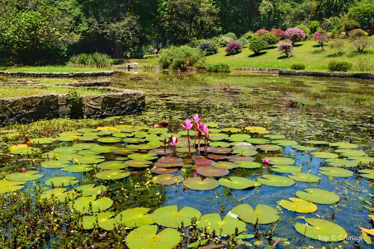 The Best Places to Visit in Sri Lanka 7 Visit In Sri Lanka, Places To Visit In Sri Lanka, Best Places To Visit, Best Places To Visit In Sri Lanka, Sri Lanka Travel