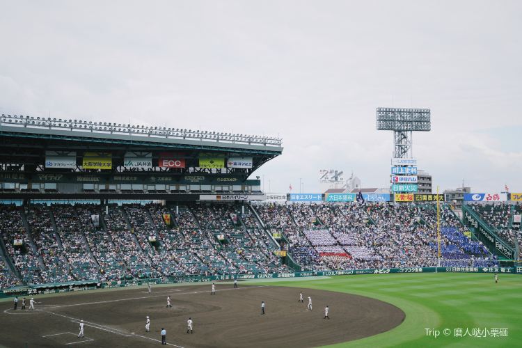 球場 甲子園