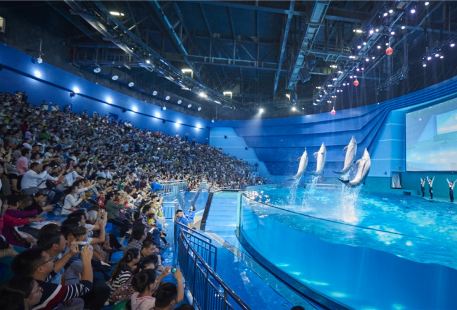 Nanchang Wanda Aquarium