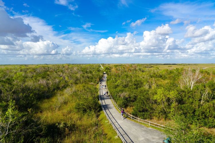 Everglades National Park エバーグレーズ国立公園 評判＆案内 | トリップドットコム