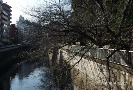 Edogawa River