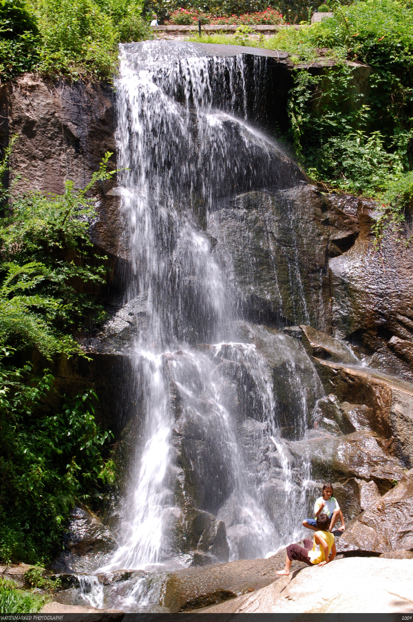 リッチモンド ホワイトハウスのレビュー リッチモンド ホワイトハウスのチケット リッチモンド ホワイトハウスの割引 リッチモンド ホワイトハウスの交通機関 所在地 営業時間 リッチモンド ホワイトハウス周辺の観光スポット ホテル グルメ Trip Com