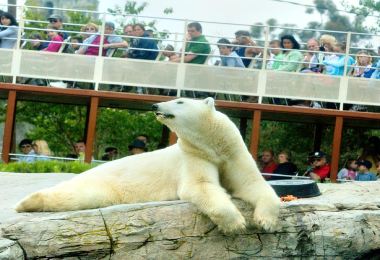 聖地亞哥動物園 熱門景點照片