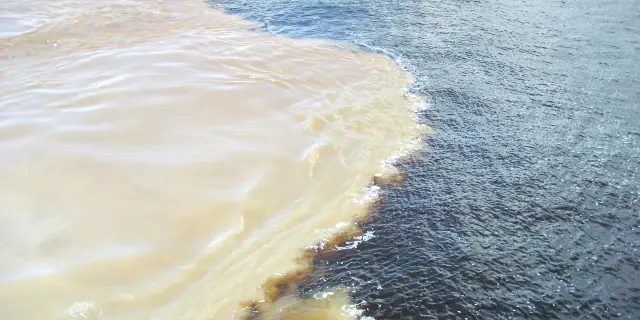22年マナウスの人気観光スポット マナウスの旅行ガイド マナウスのおすすめ観光スポットのチケット ホテル 楽しみ方 グルメ レストラン Trip Com 22年マナウスの人気観光スポット マナウスの旅行ガイド マナウスのおすすめ観光スポットのチケット ホテル 楽しみ方 グルメ レストラン Trip Com