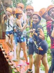 Skyline Adventures Jungle Leap