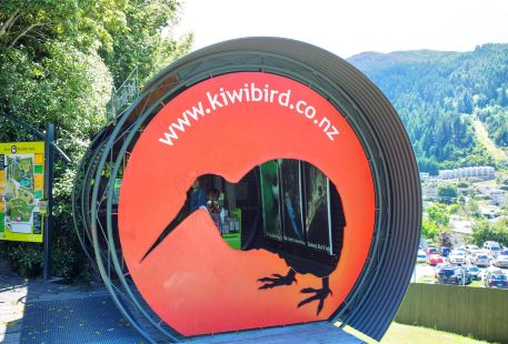 Kiwi Birdlife Park