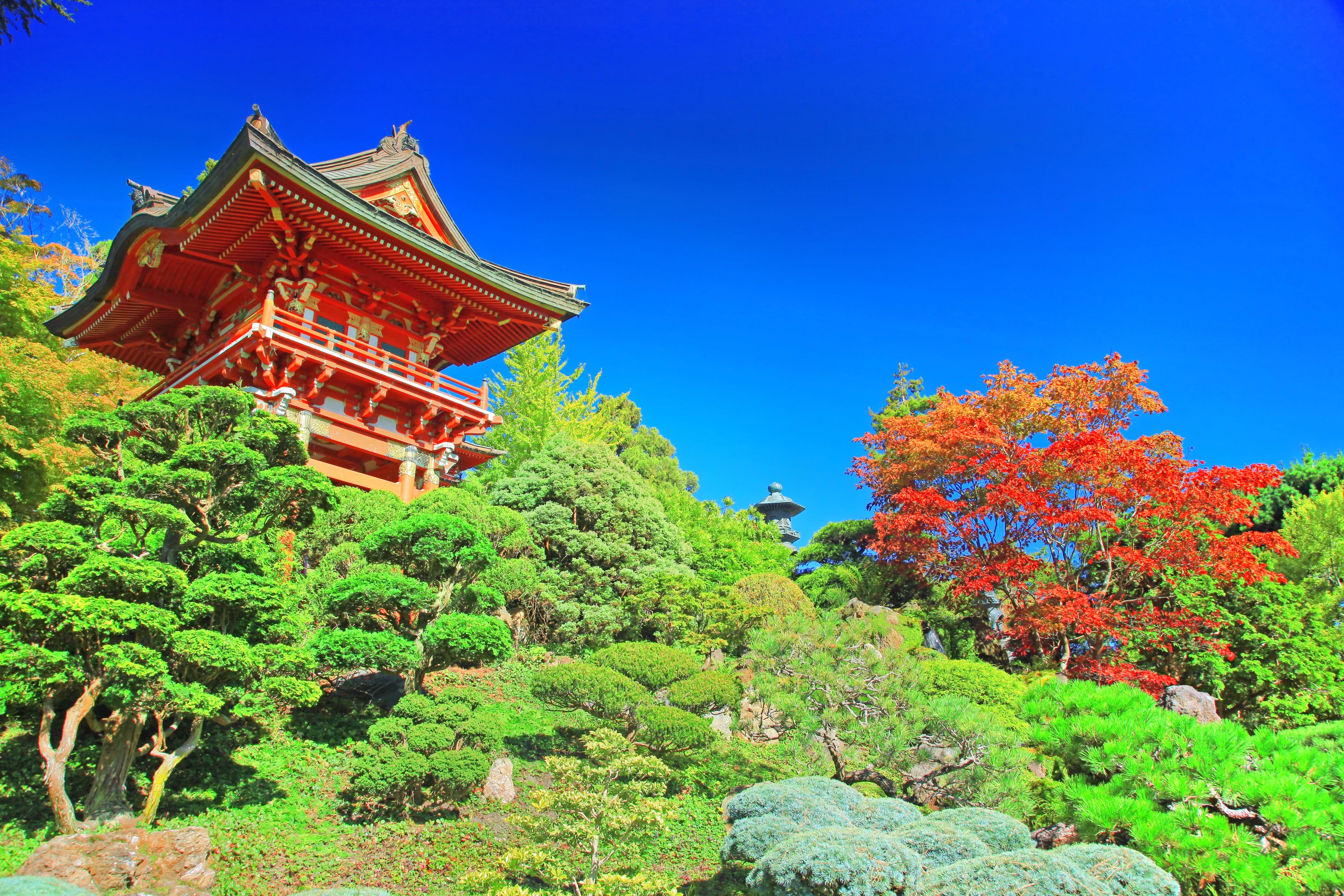 日本茶園のレビュー 日本茶園のチケット 日本茶園の割引 日本茶園の交通機関 所在地 営業時間 日本茶園周辺の観光スポット ホテル グルメ Trip Com